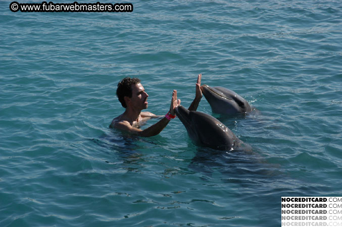 Encounter the Dolphins 2003