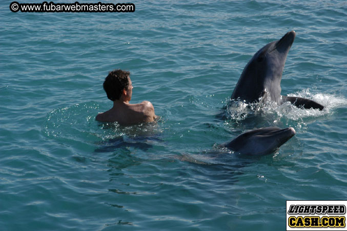 Encounter the Dolphins 2003