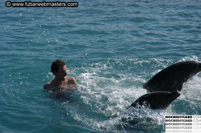 Encounter the Dolphins 2003