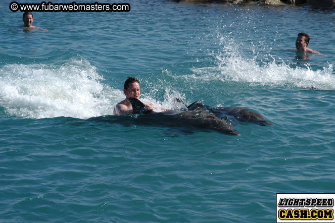 Encounter the Dolphins 2003