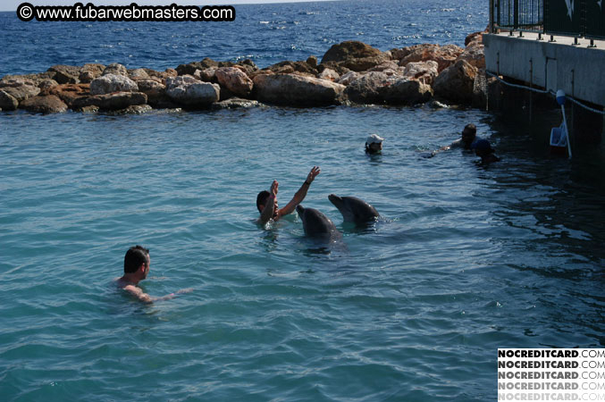 Encounter the Dolphins 2003