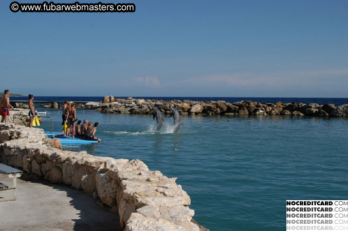 Encounter the Dolphins 2003