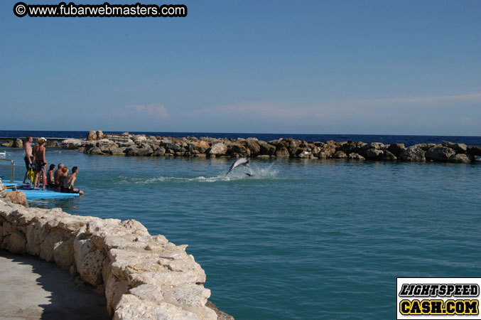 Encounter the Dolphins 2003