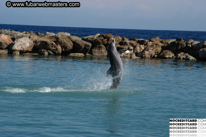 Encounter the Dolphins 2003