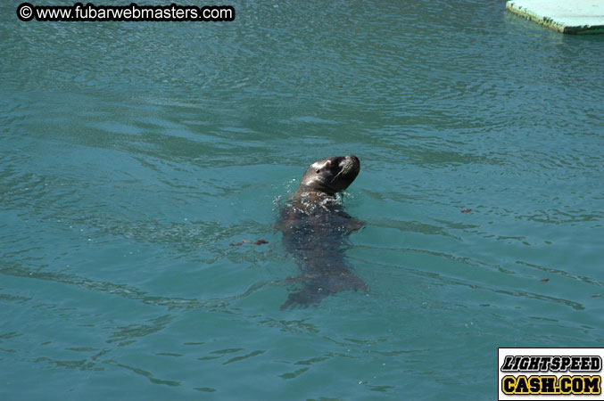 Encounter the Dolphins 2003