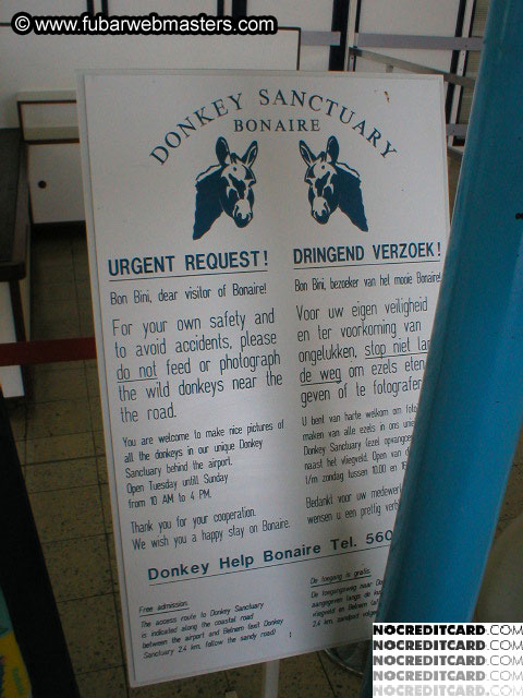 Bonaire Snorkeling 2003