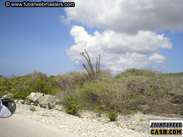 Bonaire Snorkeling 2003