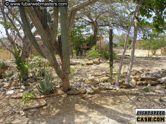 Bonaire Snorkeling 2003