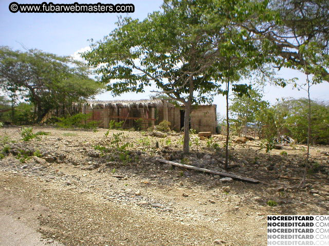Bonaire Snorkeling 2003
