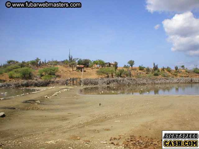 Bonaire Snorkeling 2003