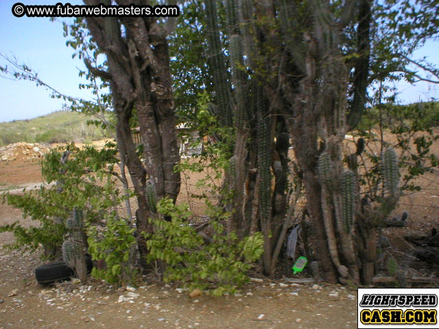 Bonaire Snorkeling 2003