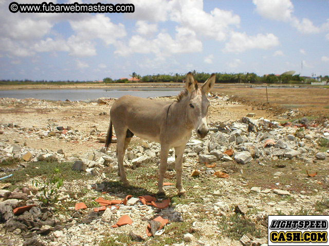 Bonaire Snorkeling 2003