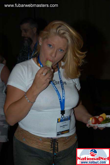 Webmaster Access South 2004