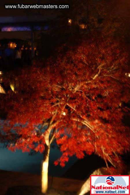 NationalNet's southern hospitality @ The Compound 2004