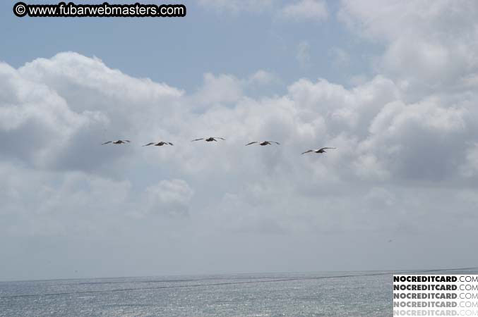 Lobster Lunch in Puerto Nuevo 2004