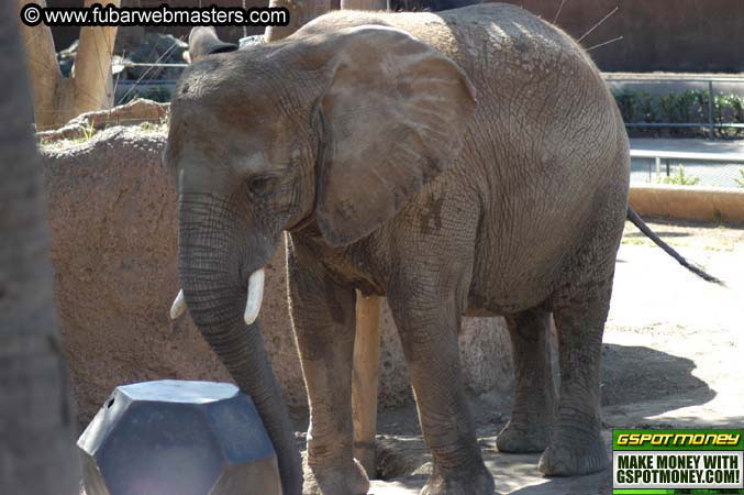 The Heavy Petting Zoo Tour 2004