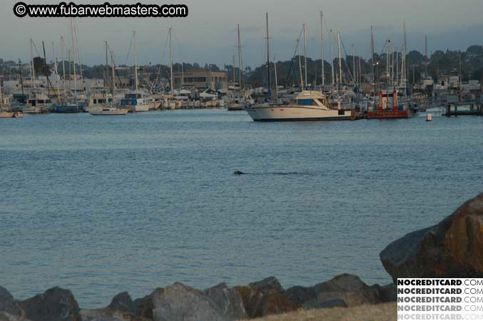 Brandy & Darren 2004