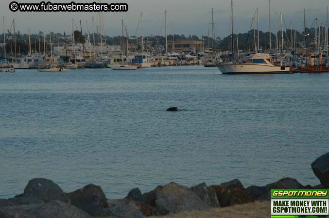 Brandy & Darren 2004