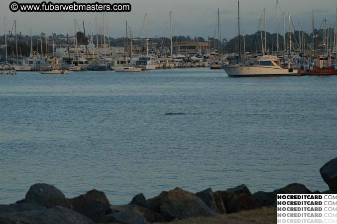 Brandy & Darren 2004