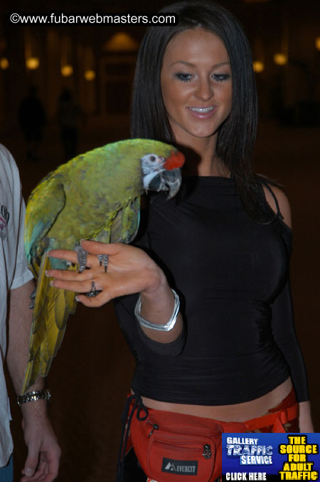 The Mandalay Bay Resort and Casino 2005