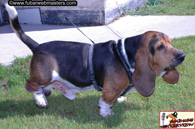 Ambush Interview Getaway 2005