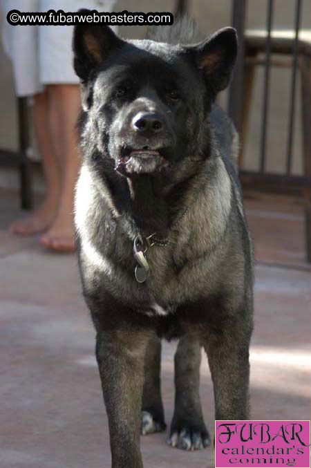 Wiseman & S.A.K. Birthday Bash 2005