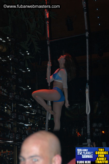 The Jungle Bash 2005