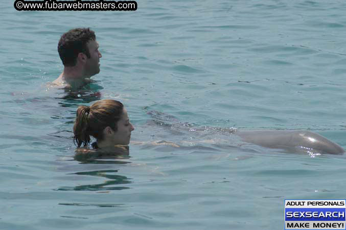 Local Billing Dolphin Encounter and Swim 2005