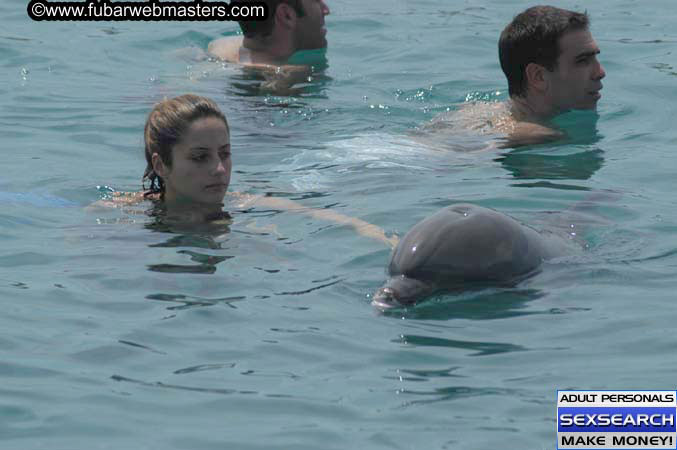 Local Billing Dolphin Encounter and Swim 2005