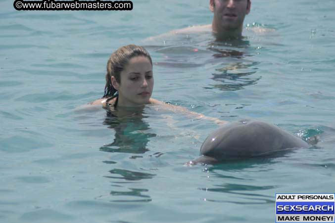 Local Billing Dolphin Encounter and Swim 2005