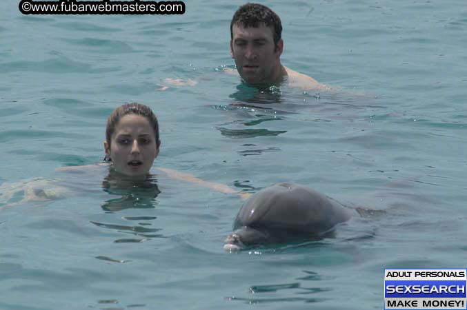 Local Billing Dolphin Encounter and Swim 2005