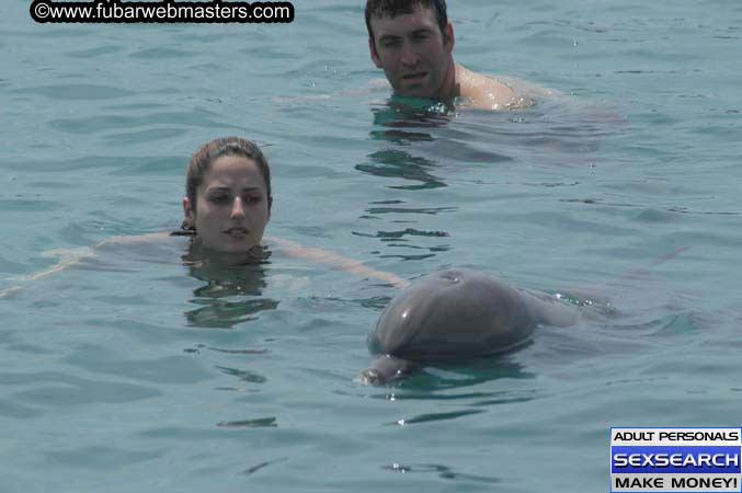 Local Billing Dolphin Encounter and Swim 2005