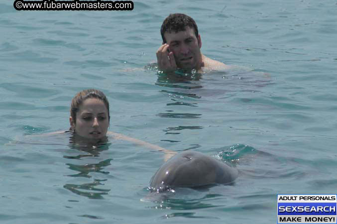 Local Billing Dolphin Encounter and Swim 2005