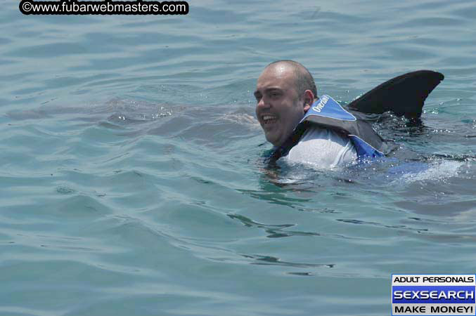 Local Billing Dolphin Encounter and Swim 2005