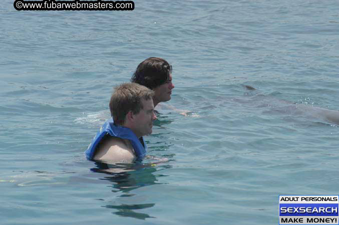 Local Billing Dolphin Encounter and Swim 2005