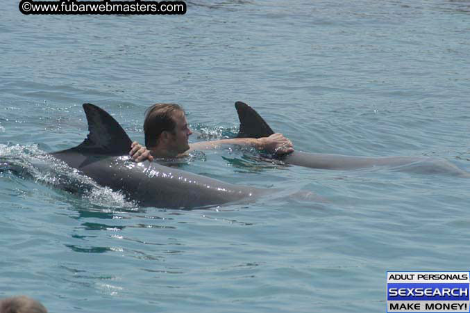 Local Billing Dolphin Encounter and Swim 2005