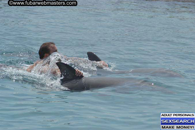 Local Billing Dolphin Encounter and Swim 2005