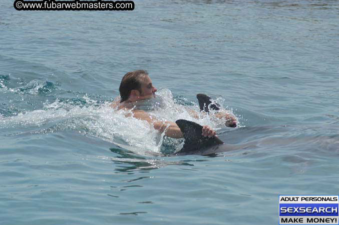 Local Billing Dolphin Encounter and Swim 2005