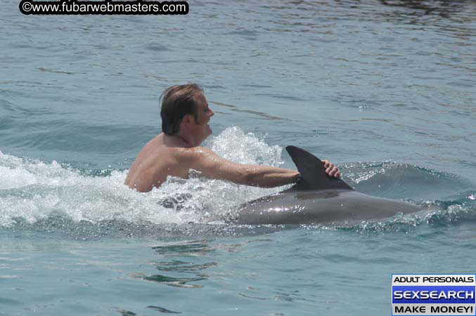 Local Billing Dolphin Encounter and Swim 2005