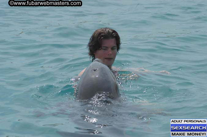 Local Billing Dolphin Encounter and Swim 2005