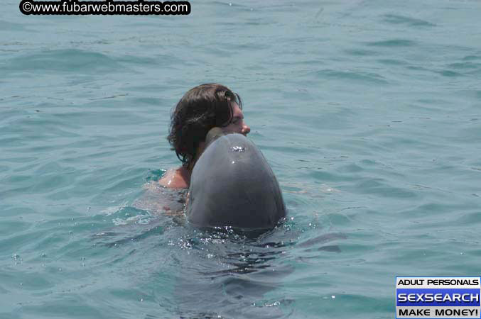 Local Billing Dolphin Encounter and Swim 2005