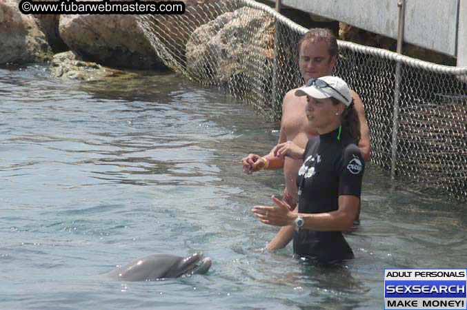 Local Billing Dolphin Encounter and Swim 2005