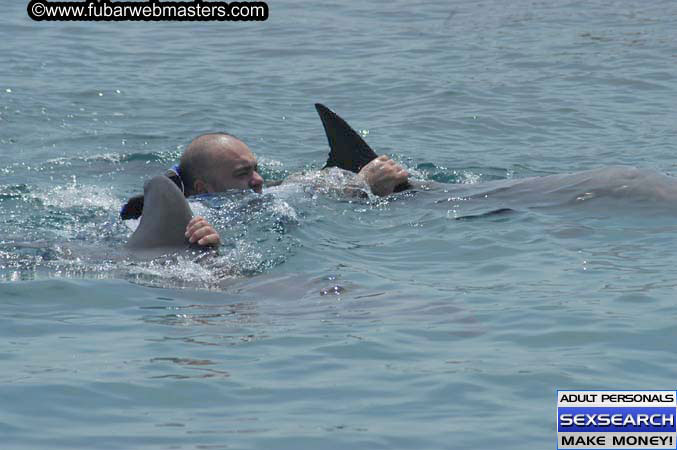 Local Billing Dolphin Encounter and Swim 2005