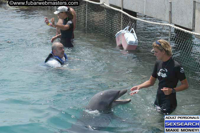 Local Billing Dolphin Encounter and Swim 2005