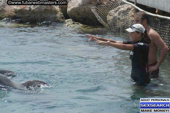 Local Billing Dolphin Encounter and Swim 2005