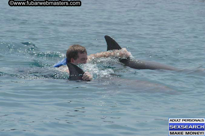 Local Billing Dolphin Encounter and Swim 2005