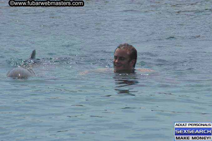 Local Billing Dolphin Encounter and Swim 2005