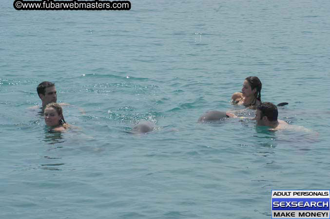 Local Billing Dolphin Encounter and Swim 2005