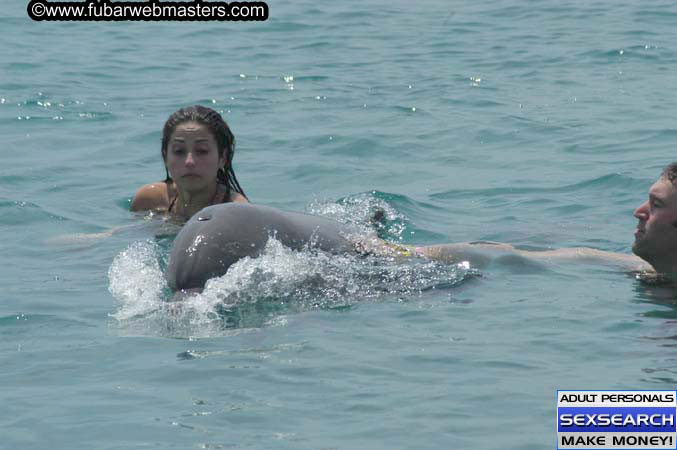 Local Billing Dolphin Encounter and Swim 2005