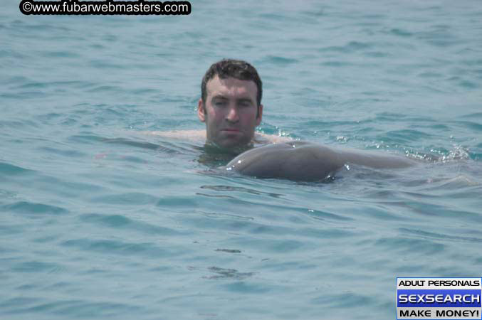 Local Billing Dolphin Encounter and Swim 2005